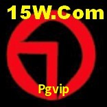 Ofertas Imperdíveis na Pgvip: Promoções e Bônus Que Valem a Pena