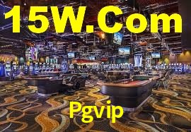 Experiência VIP Pgvip